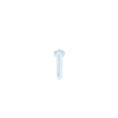 Tornillo 8 mm x 1" para taquete TP1X (1000pzs) (1392-00202)