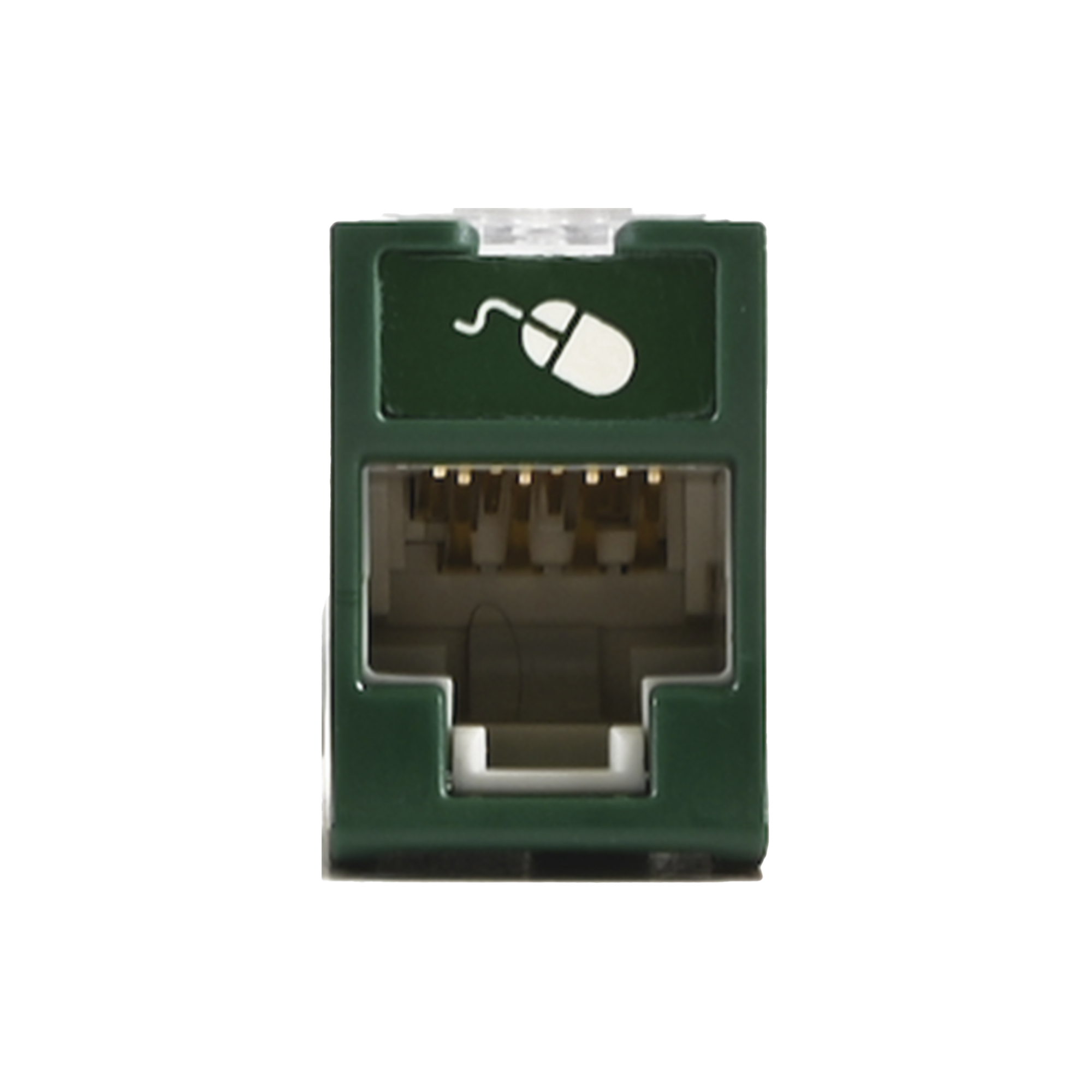 Jack UltraMAX Cat5e, UTP, Montaje Híbrido en Placa de Pared (Plano y Angulado), Color Verde, Punch Down