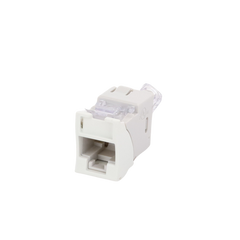 Jack UltraMAX Cat6, UTP, Montaje híbrido en Placa de Pared (Plano y Angulado), Color Blanco, Punch Down