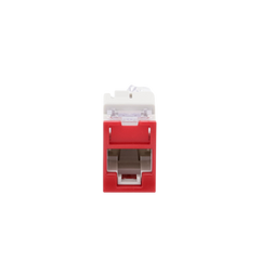 Jack UltraMAX Cat6, UTP, Montaje híbrido en Placa de Pared (Plano y Angulado), Color Rojo, Punch Down