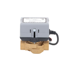 Válvula 3/4 De 2 Vías Conexión de rosca BSPT Con Actuador 40011 A 120V, On/off