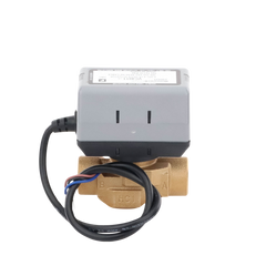 Válvula 3/4 De 2 Vías Conexión de rosca BSPT Con Actuador 40011 A 120V, On/off