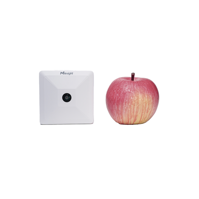 Sensor Inteligente de Presencia y Conteo de Personas LoRaWAN