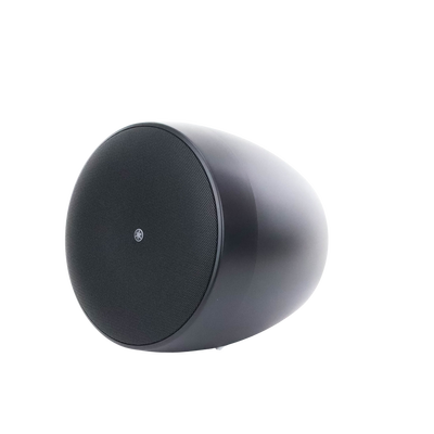 Altavoz Colgante Comercial | 6.5 in | 2 Vias, 300w | 8 Ohms | 70v/100v | Negro