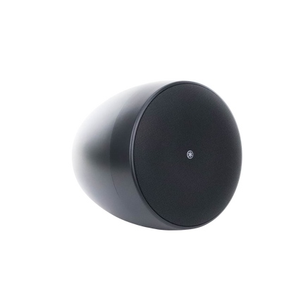 Altavoz Colgante Comercial | 6.5 in | 2 Vias, 300w | 8 Ohms | 70v/100v | Negro