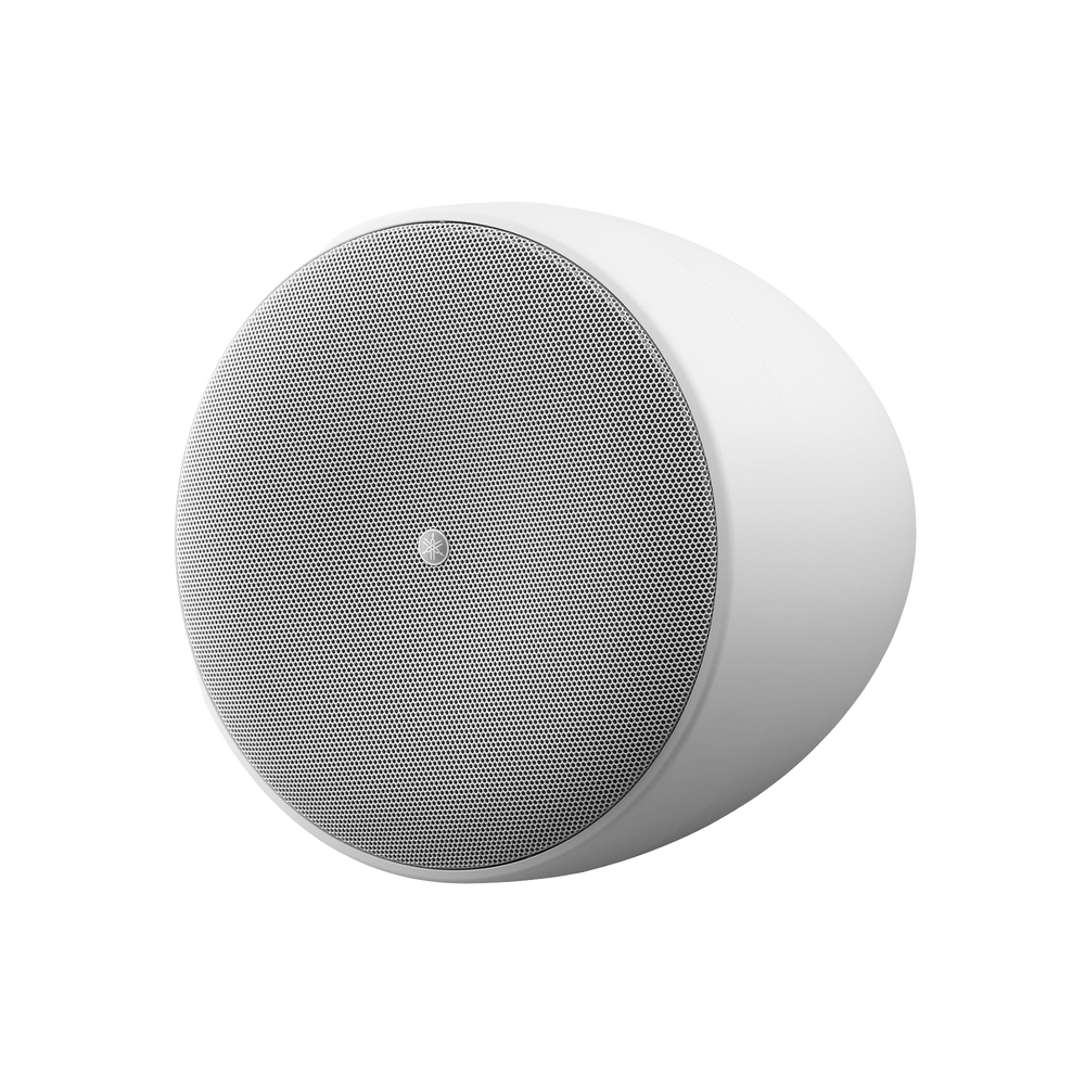 Altavoz Colgante Comercial | 6.5 in | 2 Vias | 300w | 8 Ohms | 70v/100v | Blanco