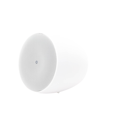 Altavoz Colgante Comercial | 6.5 in | 2 Vias | 300w | 8 Ohms | 70v/100v | Blanco