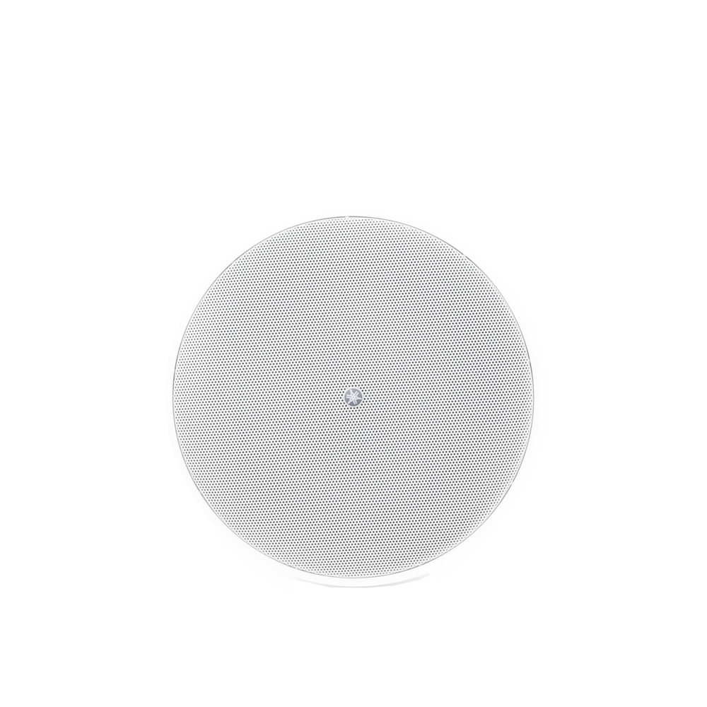 Altavoz Colgante Comercial | 6.5 in | 2 Vias | 300w | 8 Ohms | 70v/100v | Blanco