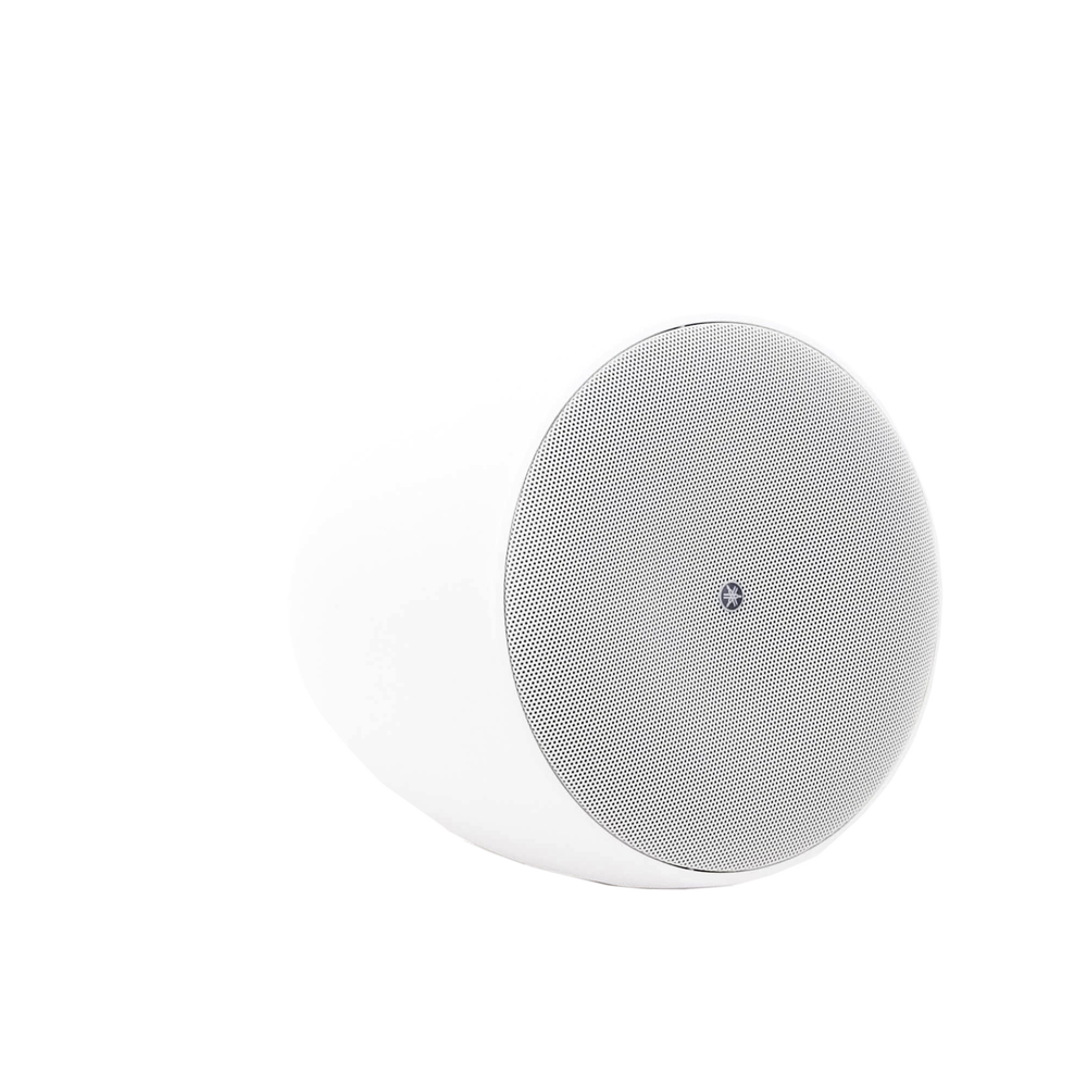 Altavoz Colgante Comercial | 6.5 in | 2 Vias | 300w | 8 Ohms | 70v/100v | Blanco