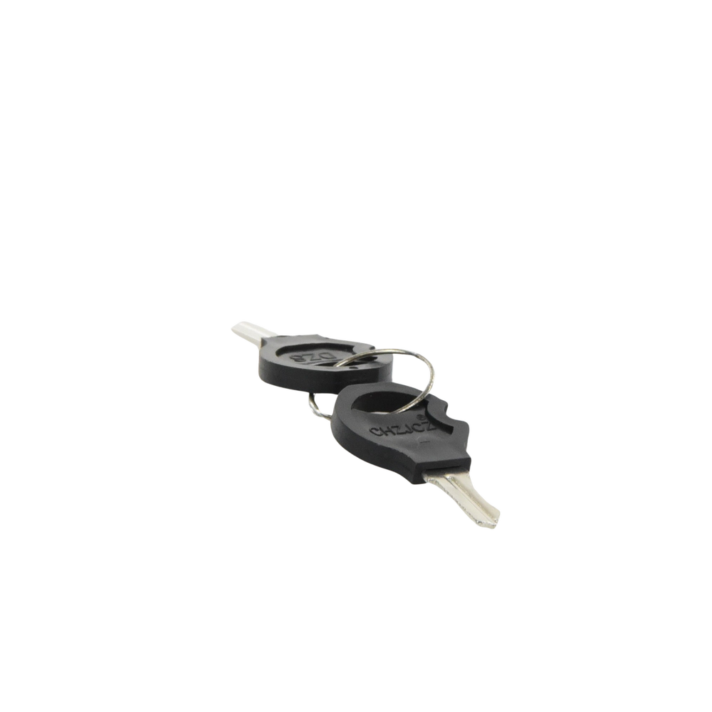 LLAVE PARA CHAPA de ENERGIZADOR YONUSA