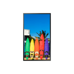 Pantalla Profesional para marketing en Ventana LED 46" Full HD (1080p), HDMI / LAN / Brillo 4000 nits / Compatible con VESA