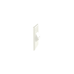 Placa de Pared Vertical Clásica, Salida Para 2 Puertos Mini-Com Inclinados, Con Espacios Para Etiquetas, Color Blanco