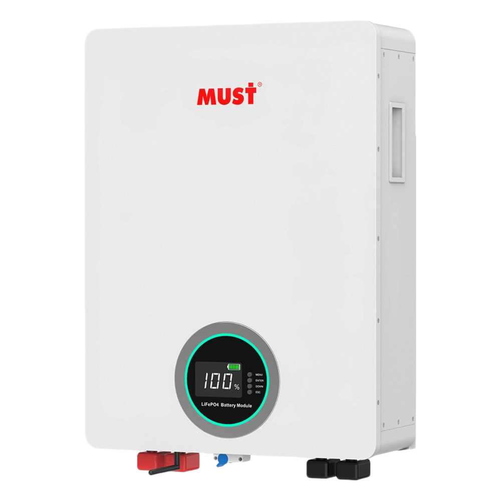 Batería de Litio LiFePO4 / 51.2 Vcc / 100 Ah / 5.12 kWh / 6000 Ciclos / BMS Integrado / Comunicación CAN-RS485-WiFi