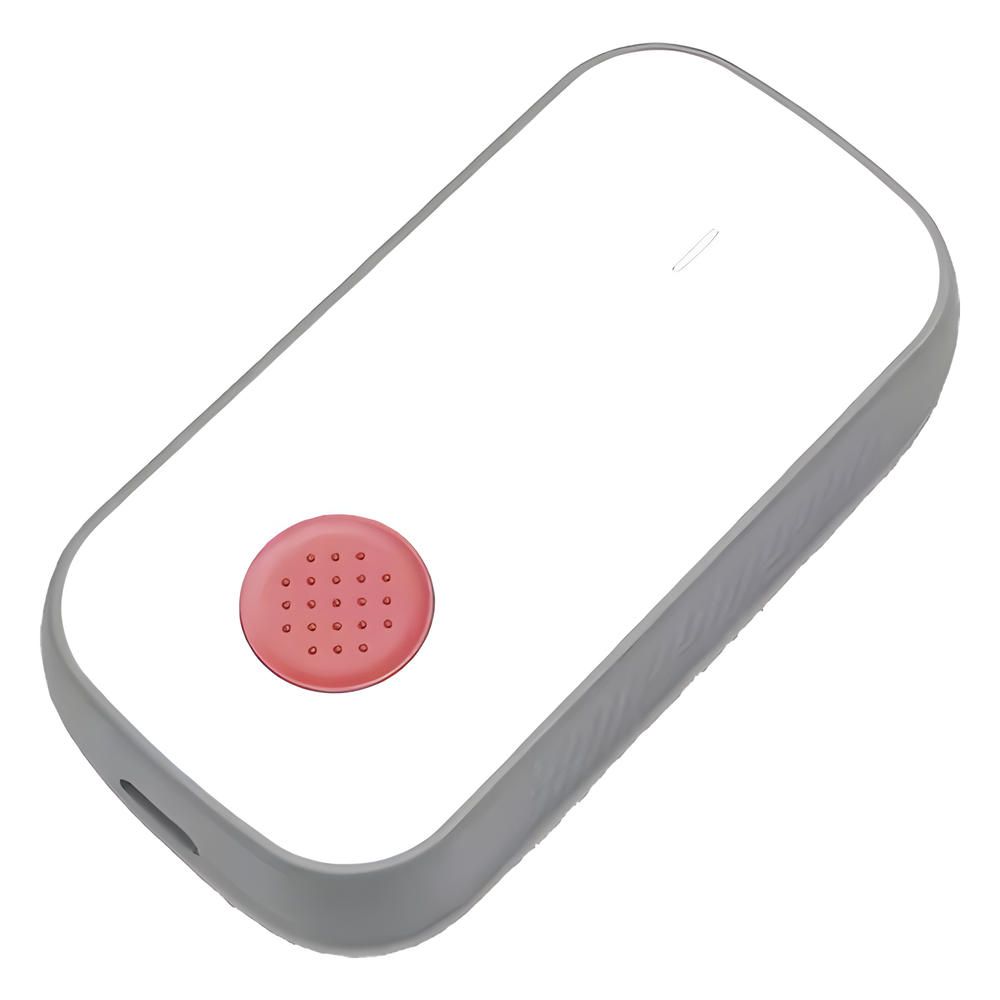 Botón de Pánico LoRaWAN con GPS / BLE para Interior y Exterior / Batería Recargable / IP66