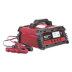 Cargador de Baterías / 12 o 24 Vcc / hasta 250 Ah / 25 A / Display LCD