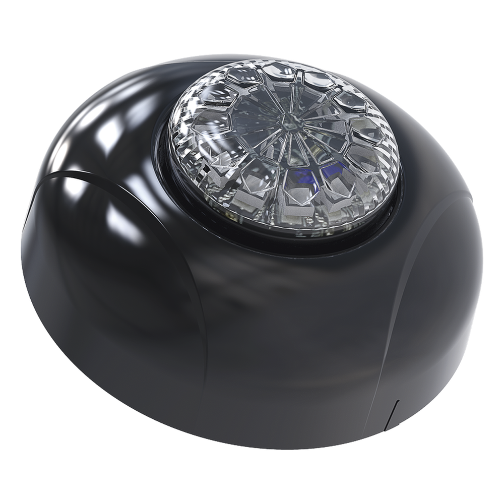 Estrobo Oculto de 12 LED, Brida negra, 12 Vcd, Clara, Lente transparente