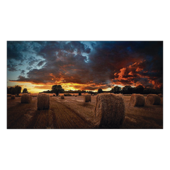 Pantalla Profesional de 55" para Video Wall / Full HD (1080p) / Display port - HDMI - DVI / 24/7 / soporta conexion Daisy chain por DP / Bisel Ultra Delgado de 2.3mm  / Compatible VESA 600x400