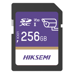 Tarjeta SD GuardPro P10 / 256 GB / 100 MB/s Lectura / 90 MB/s Escritura / Clase 10 U3 V30 / 3D TLC NAND / Especializada Para Videovigilancia 24/7