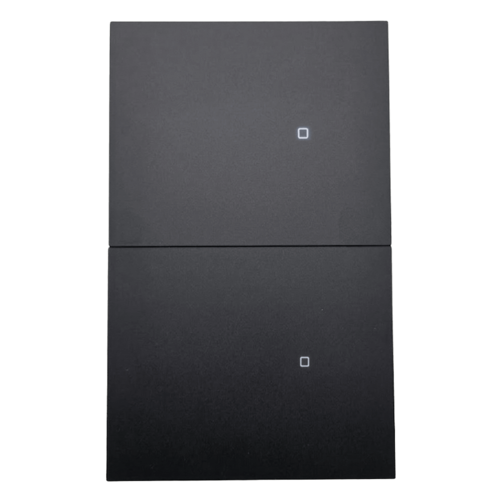 Apagador inalámbrico ZigBee 110-220V 2 GANG