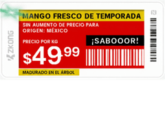 Etiqueta de Estantería Electrónica ESL ZKE21B / Pantalla EPD 2.13 Pulgadas / Resolución 122x250 Píxeles / 4 Colores (Negro Blanco Rojo Amarillo) / BLE 5.0 con Encriptación AES-128 / Batería 5 Años / NFC / C