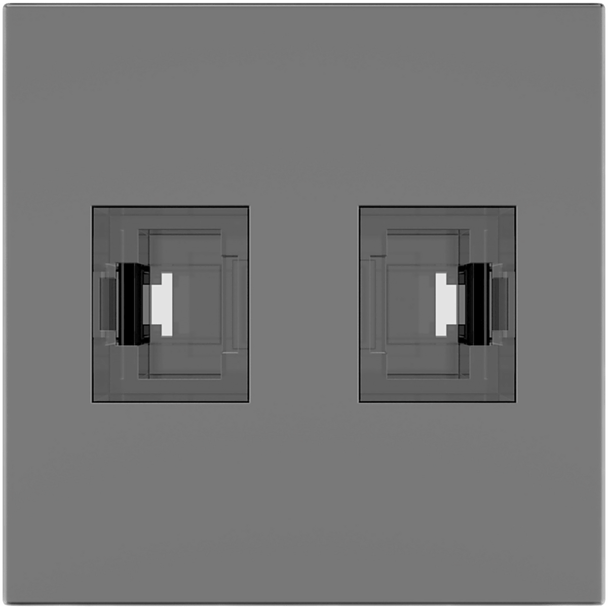Módulo Pasivo TBUS / 2 Puertos RJ45 Passthrough / Entrada y Salida 2 Hembras / Color Negro Grafito RAL 9011
