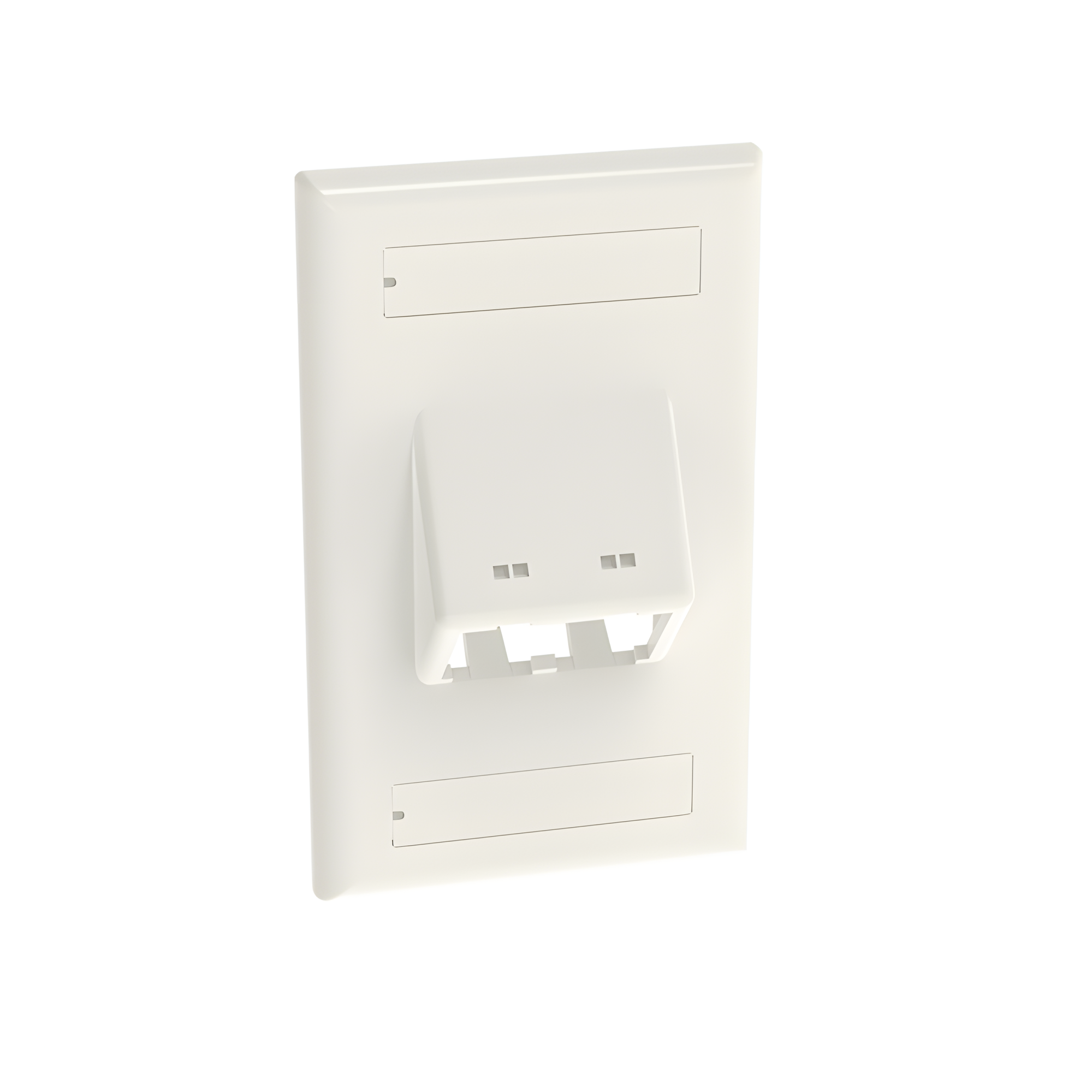 Placa de Pared Vertical Clásica, Salida Para 2 Puertos Mini-Com Inclinados, Con Espacios Para Etiquetas, Color Blanco