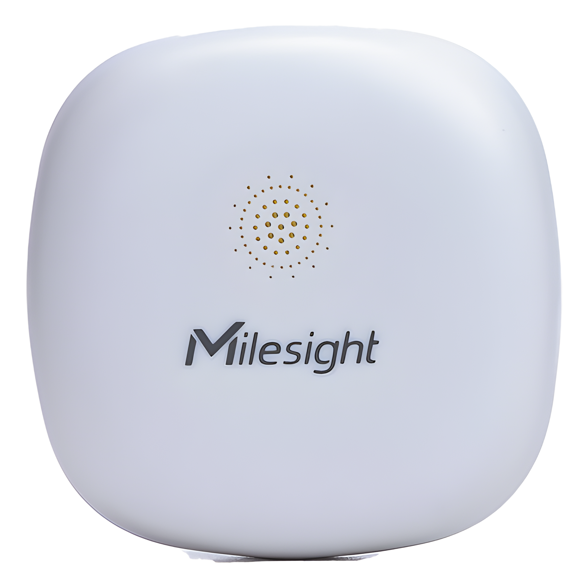 Mini Sensor Inteligente de Detección de Fugas de Agua LoRaWAN / Alarma Inmediata / IP67 / para BMS, Baños Inteligentes y Hogar