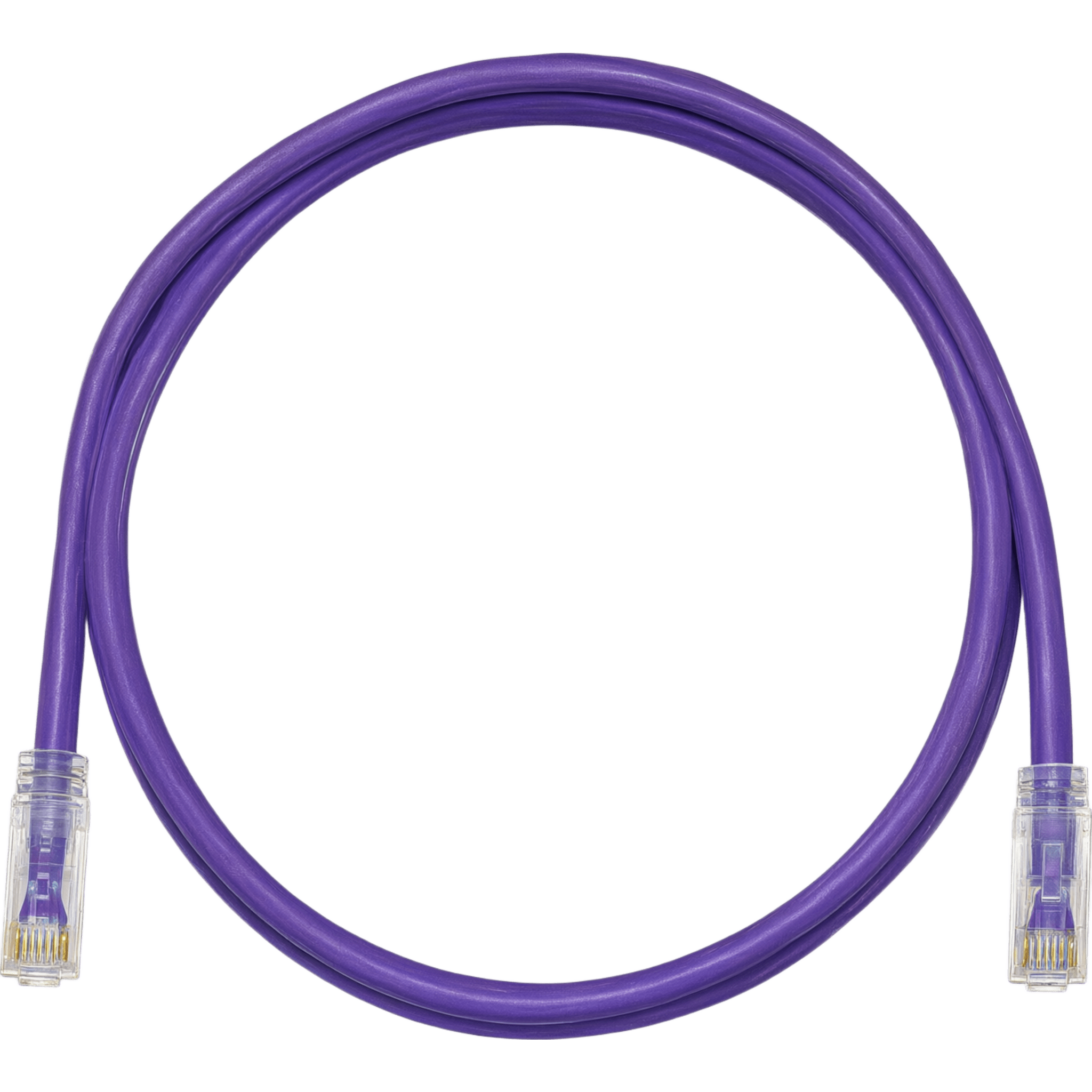 Cable de Parcheo TX6, UTP Cat6, 24 AWG, CM, Color Violeta, 0.61 Metros (2 Pies)