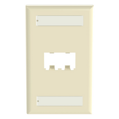 Placa de Pared Vertical Clásica, Salida Para 2 Puertos Mini-Com, Con Espacios Para Etiquetas, Color Marfil