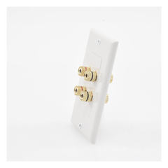 Placa de Pared | Postes de Unión Tipo Banana | Conexión para 2 Altavoces | Fácil Instalación | Conectores Chapados en Oro