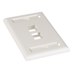 Placa de Pared Vertical, Salida Para 2 Puertos Keystone, Con Espacios Para Etiquetas, Color Blanco Mate