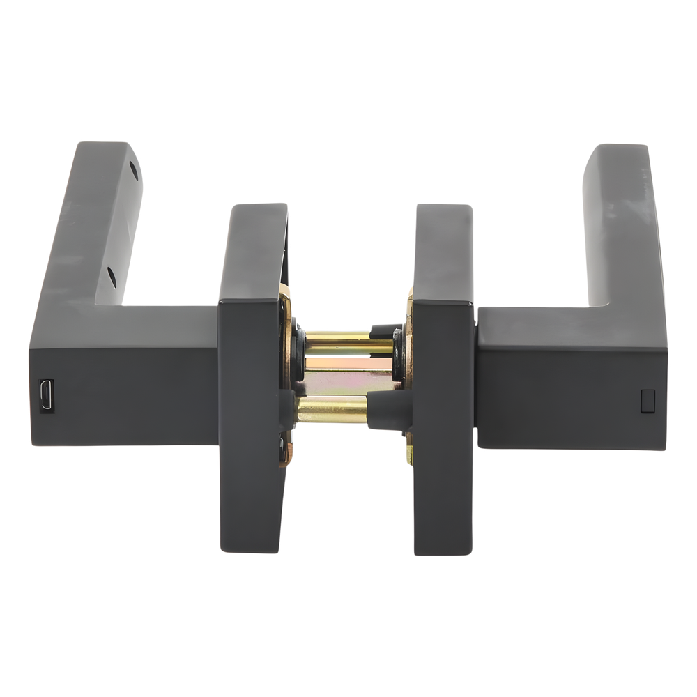 Manija Castelli Biométrica/ Acabado Negro / 30 usuarios/Para Puerta Izq o Derecha de 60-70mm