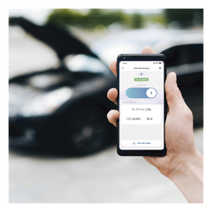 Estación de Carga para Vehículos Eléctricos con Conector Tipo 1 (SAE J1772), 220Vca con Potencia de Salida de 7.4kW (32A / bifásica)