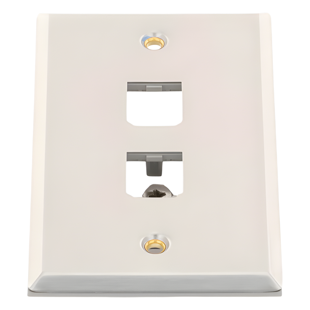 Placa de Pared Vertical, de Acero Inoxidable, Salida Para 2 Puertos Mini-Com
