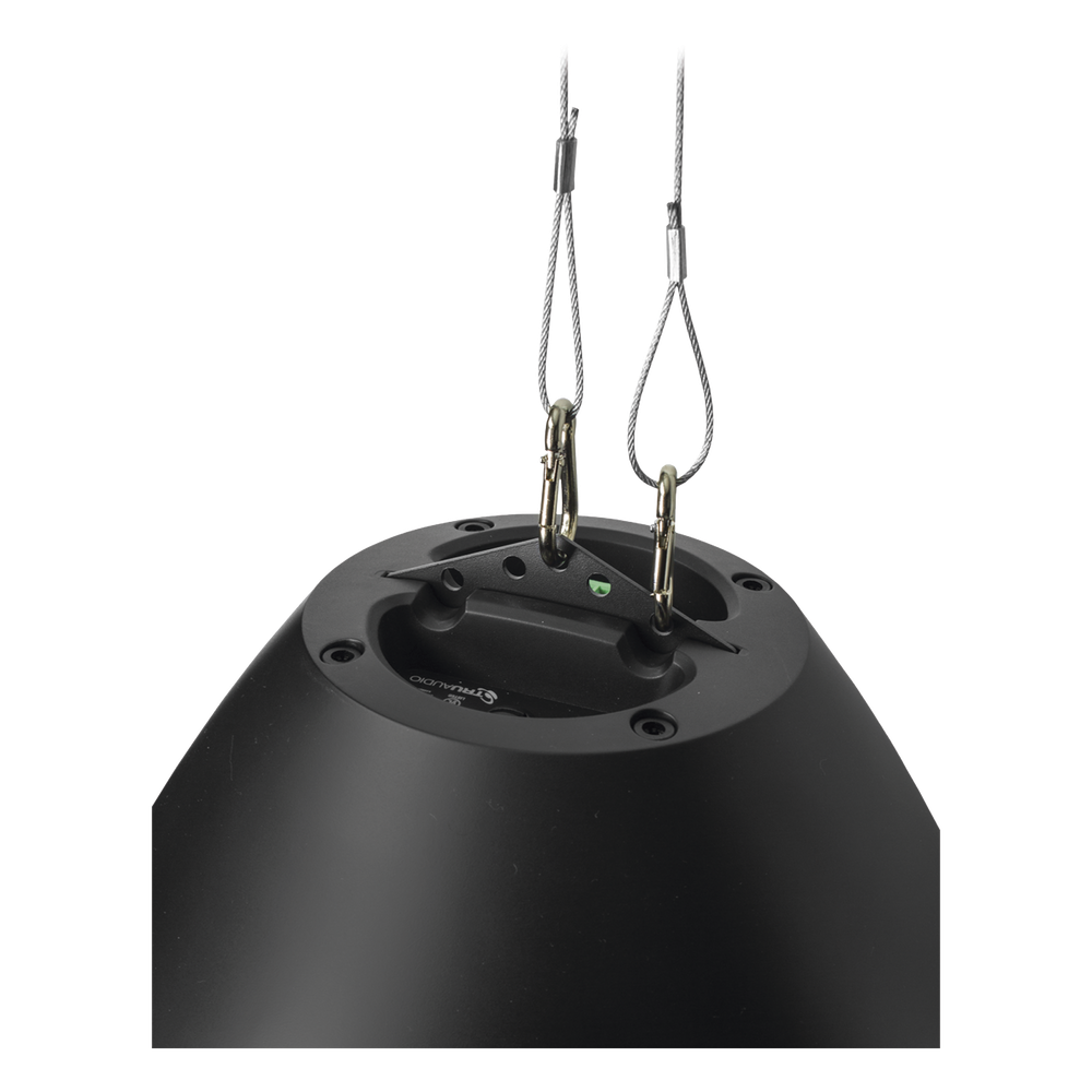 Altavoz colgante | 8 in | 70v /100v | 8 Ohms | 125 Watts | Negro