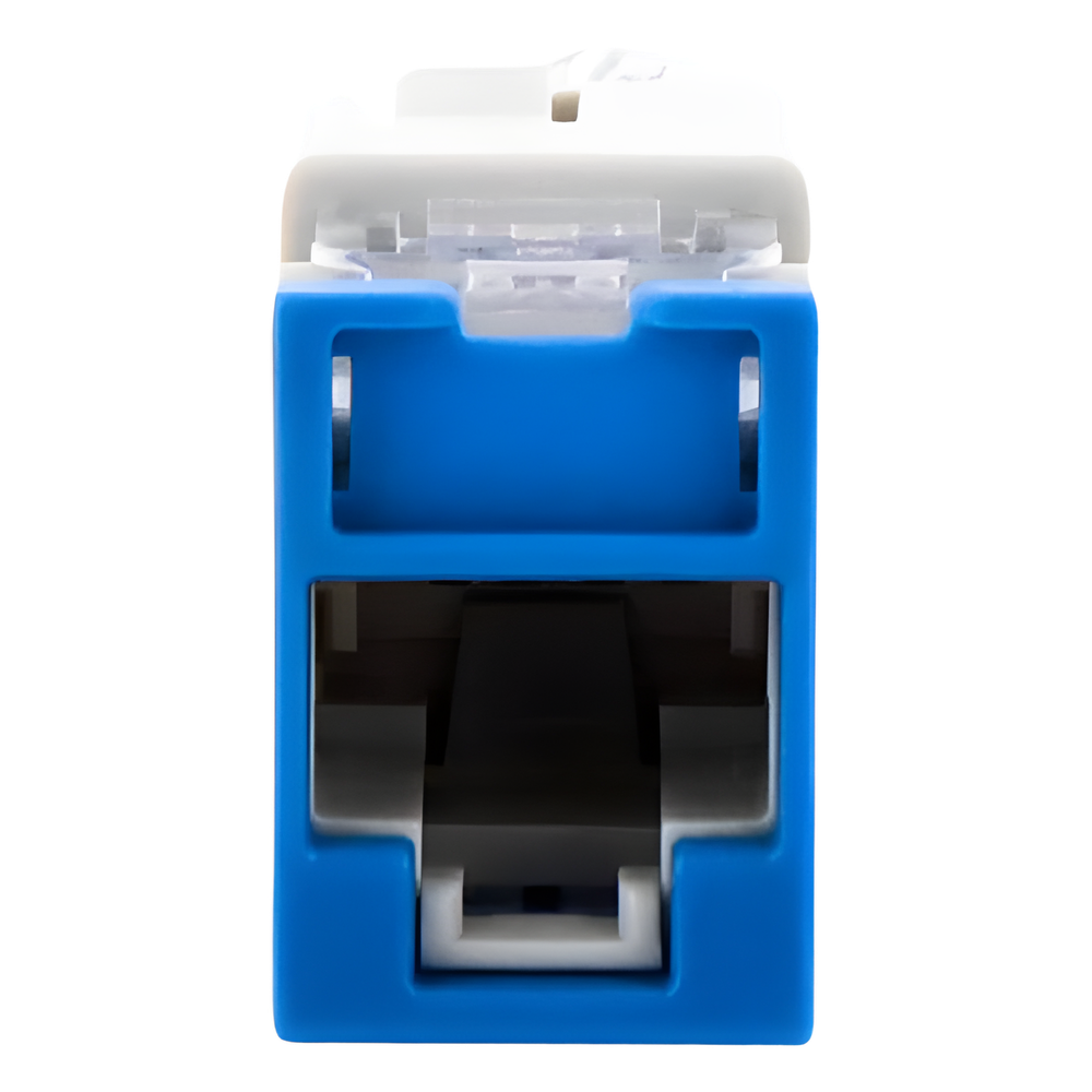 Jack UltraMAX Cat6, UTP, Montaje Híbrido en Placa de Pared (Plano y Angulado), Color Azul, Punch Down