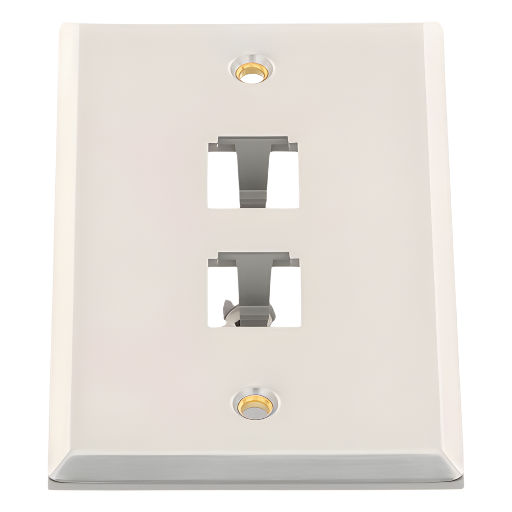 Placa de Pared Vertical, de Acero Inoxidable, Salida Para 2 Puertos Mini-Com