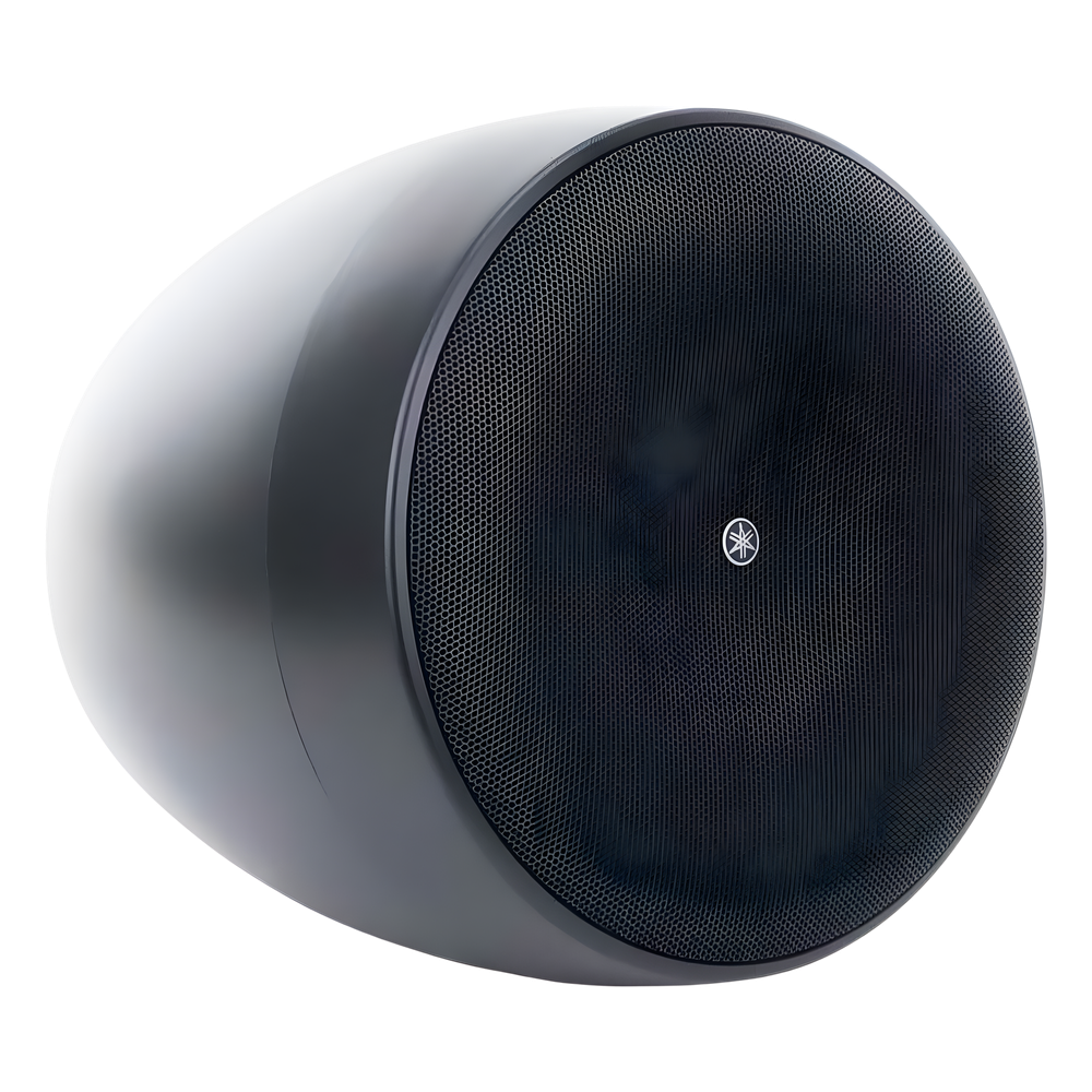 Altavoz Colgante Comercial | 6.5 in | 2 Vias, 300w | 8 Ohms | 70v/100v | Negro